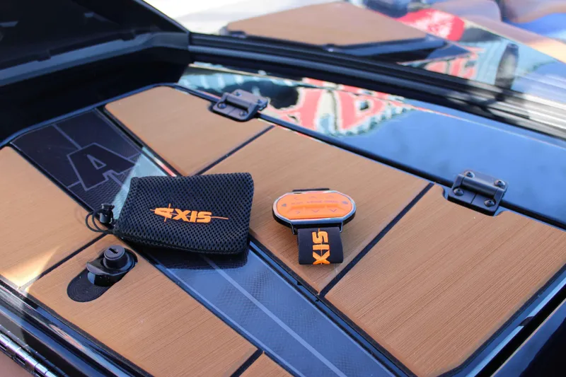 Slide: The Image of Axis A245 2025 - 10