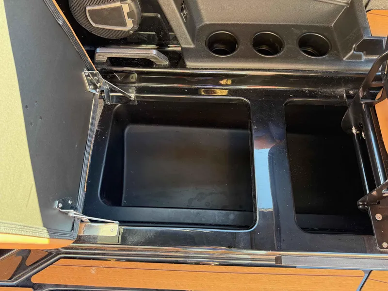 Slide: The Image of Axis A245 2025 - 16