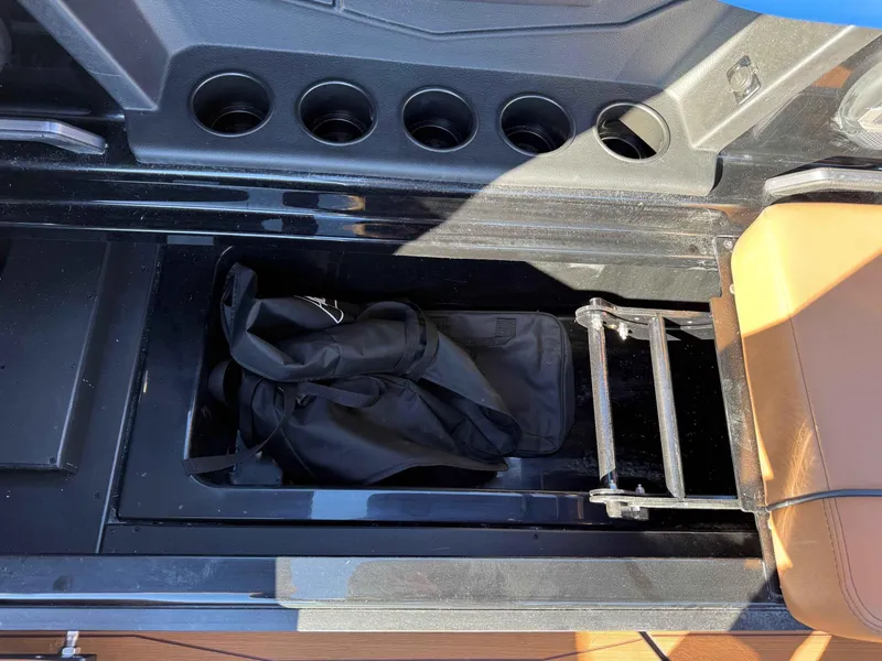 Slide: The Image of Axis A245 2025 - 17