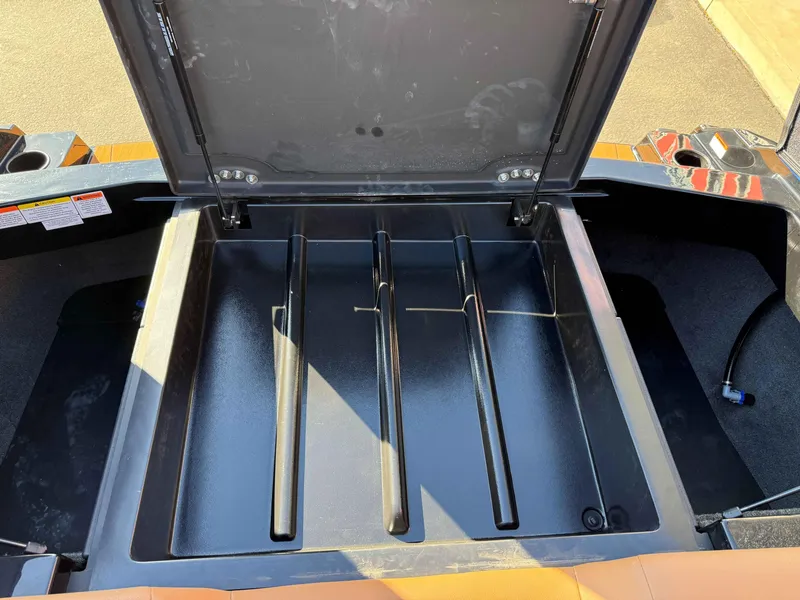 Slide: The Image of Axis A245 2025 - 19