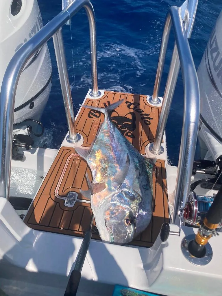 Slide: The Image of Prowler 25 2023 - 55