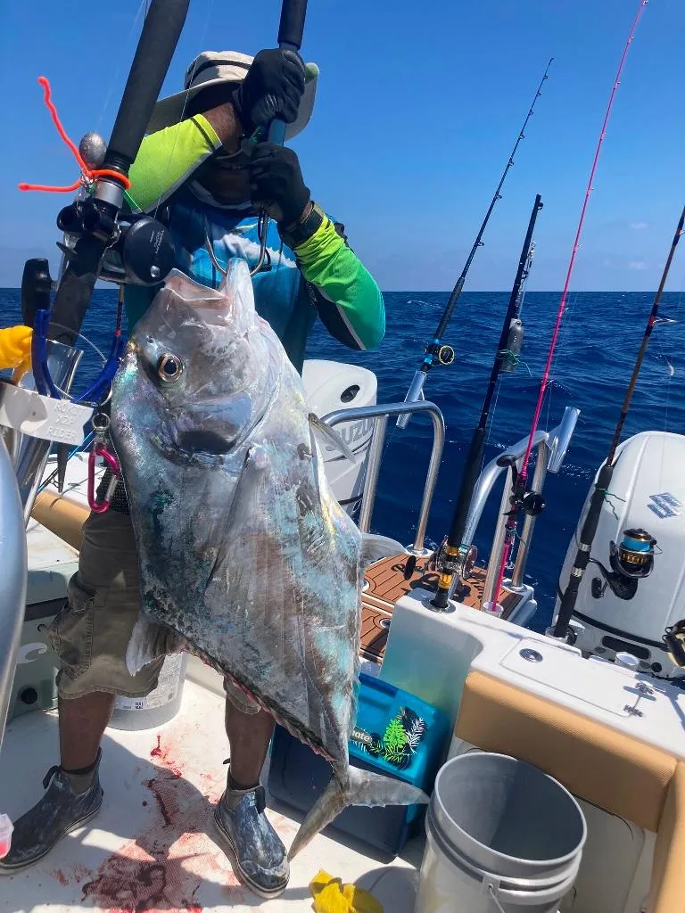 Slide: The Image of Prowler 25 2023 - 58