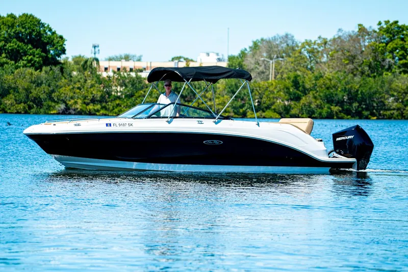 Slide: The Image of Sea Ray 250 SDX Outboard 2019 - 0