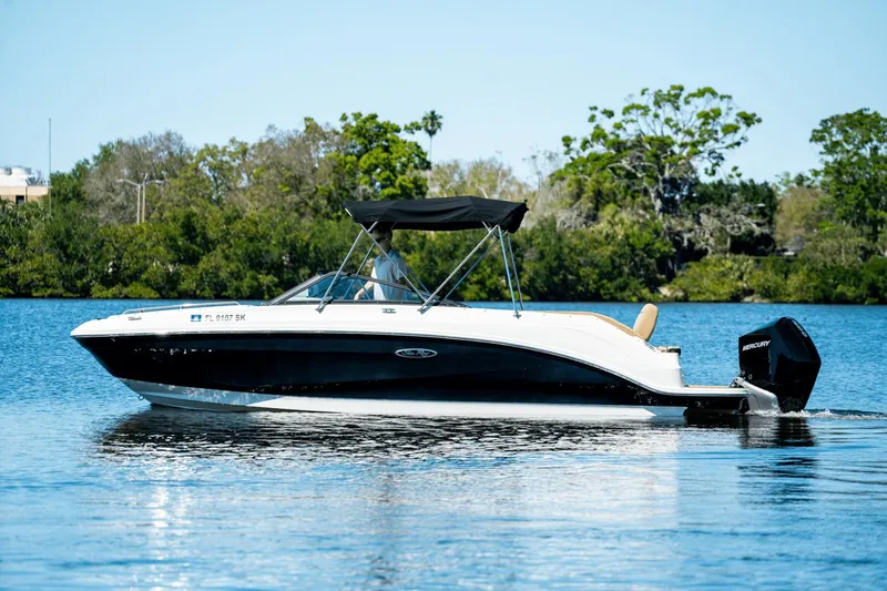 Slide: The Image of Sea Ray 250 SDX Outboard 2019 - 3