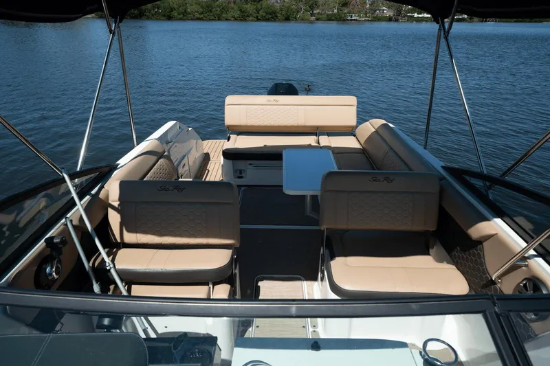 Slide: The Image of Sea Ray 250 SDX Outboard 2019 - 35