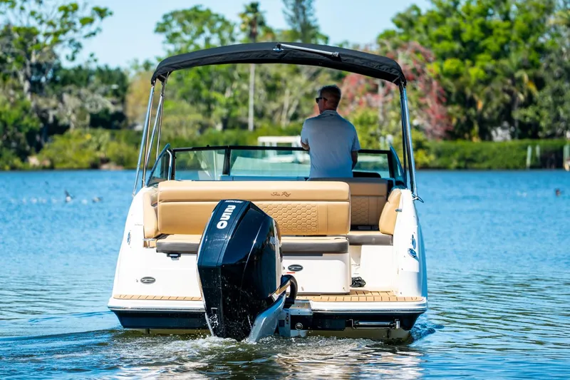 Slide: The Image of Sea Ray 250 SDX Outboard 2019 - 4