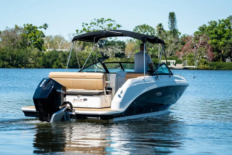 Slide: The Image of Sea Ray 250 SDX Outboard 2019 - 5