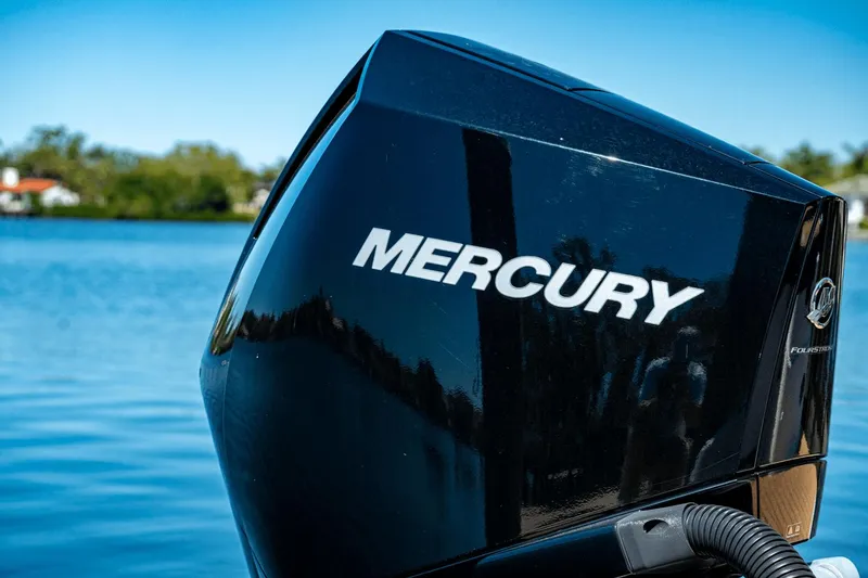 Slide: The Image of Sea Ray 250 SDX Outboard 2019 - 7