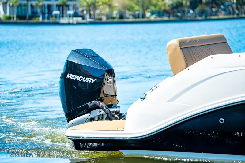 Slide: The Image of Sea Ray 250 SDX Outboard 2019 - 8