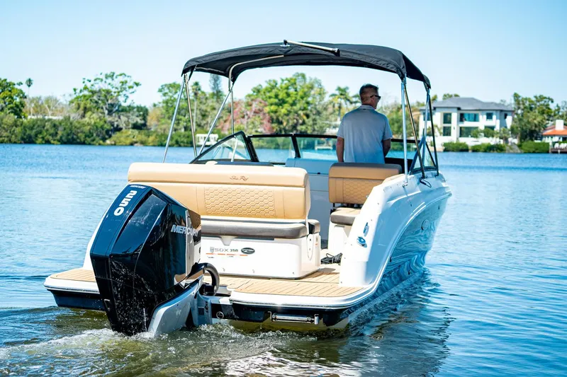 Slide: The Image of Sea Ray 250 SDX Outboard 2019 - 9