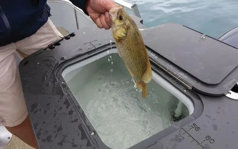 Slide: The Image of Bennington 20SF 2025 - 5