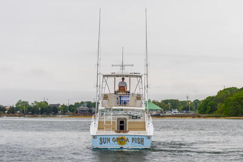 Slide: The Image of Viking 38 Billfish 2019 - 103