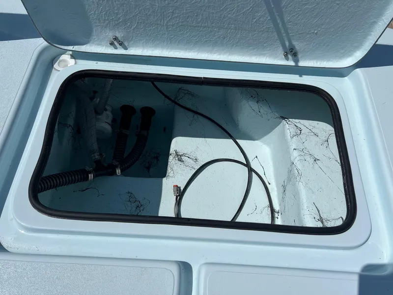 Slide: The Image of Shoalwater 23 Cat 2025 - 31