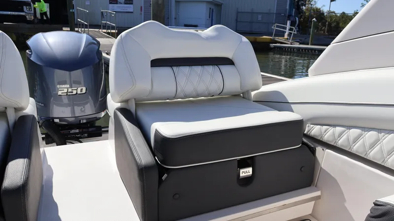Slide: The Image of 2022 Regal LX4 boat seat with Yamaha 250 engine in the background. - 24