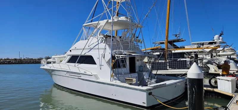 The Image of Bertram 50 Convertible 1995 - undefined