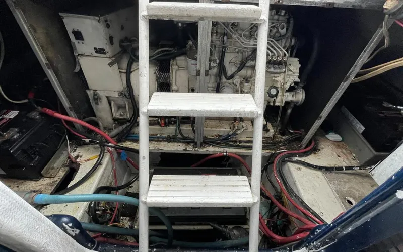 Slide: The Image of Bertram 50 Convertible 1995 - 54