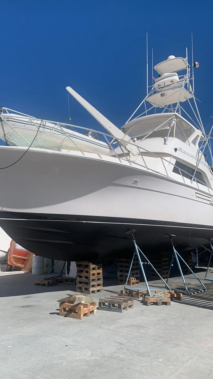 Slide: The Image of Bertram 50 Convertible 1995 - 63