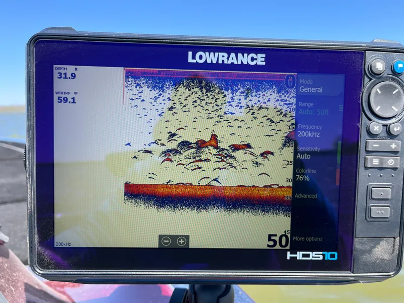 Slide: The Image of Ranger Z21 2008 - 85