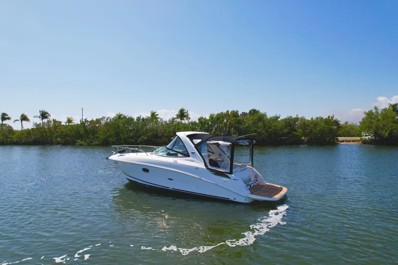 Slide: The Image of 2010 Sea Ray 310 Sundancer cruising on a calm, scenic waterway. - 2