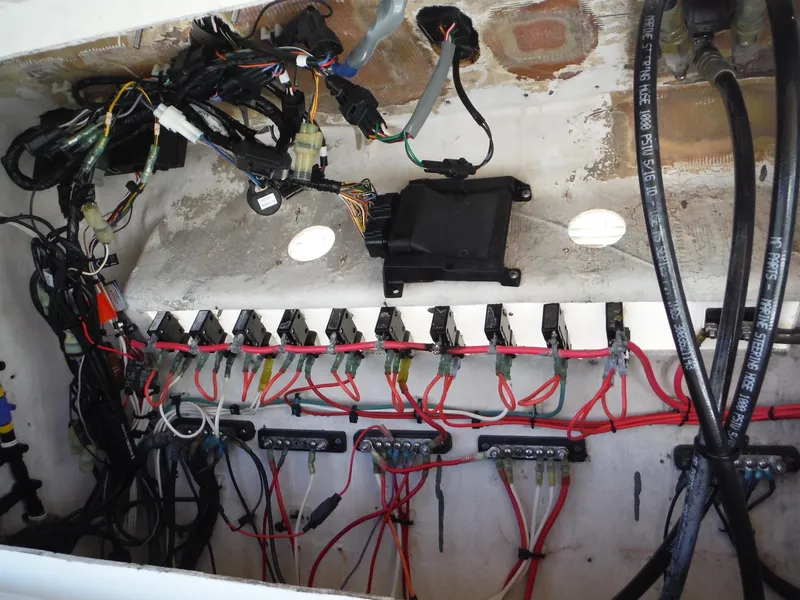 Slide: The Image of Intrepid 339 Walkaround 1996 - 53