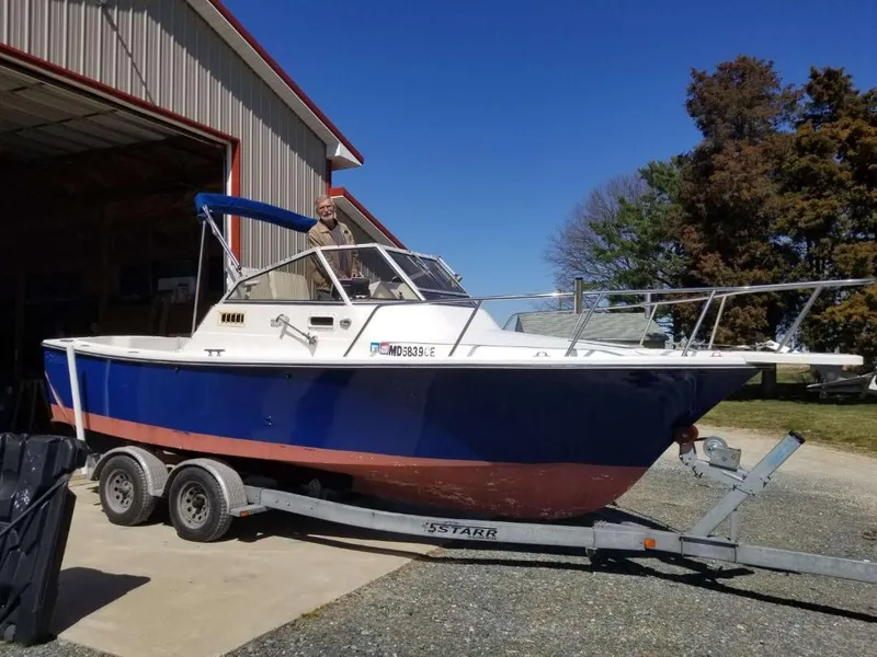 The Image of Shamrock 220 Predator 1994 - 0