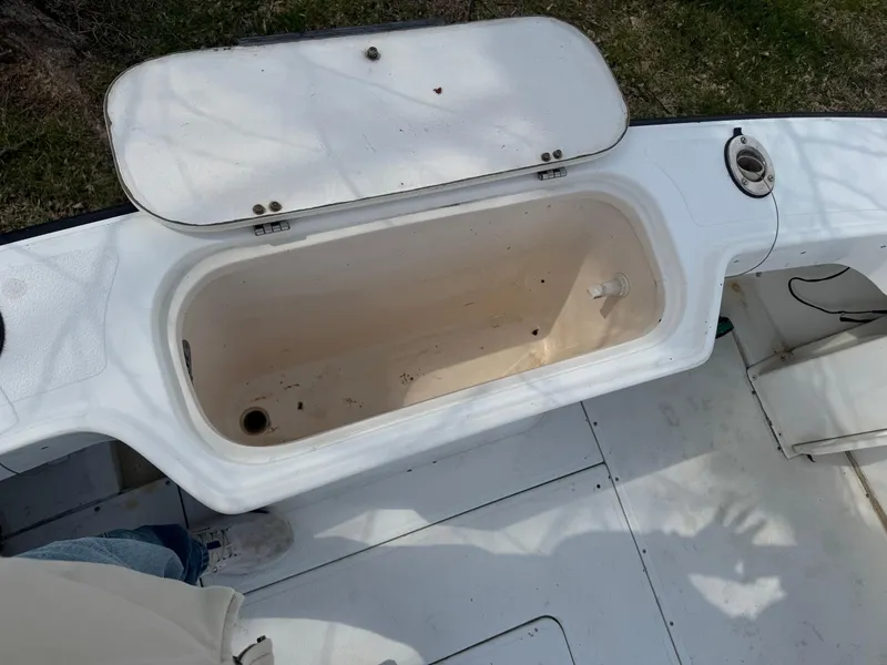 Slide: The Image of Shamrock 220 Predator 1994 - 2