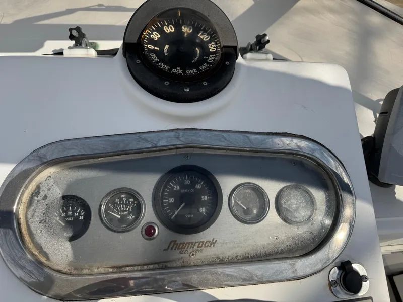 Slide: The Image of Shamrock 220 Predator 1994 - 4