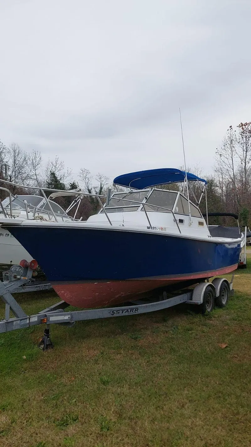 Slide: The Image of Shamrock 220 Predator 1994 - 7