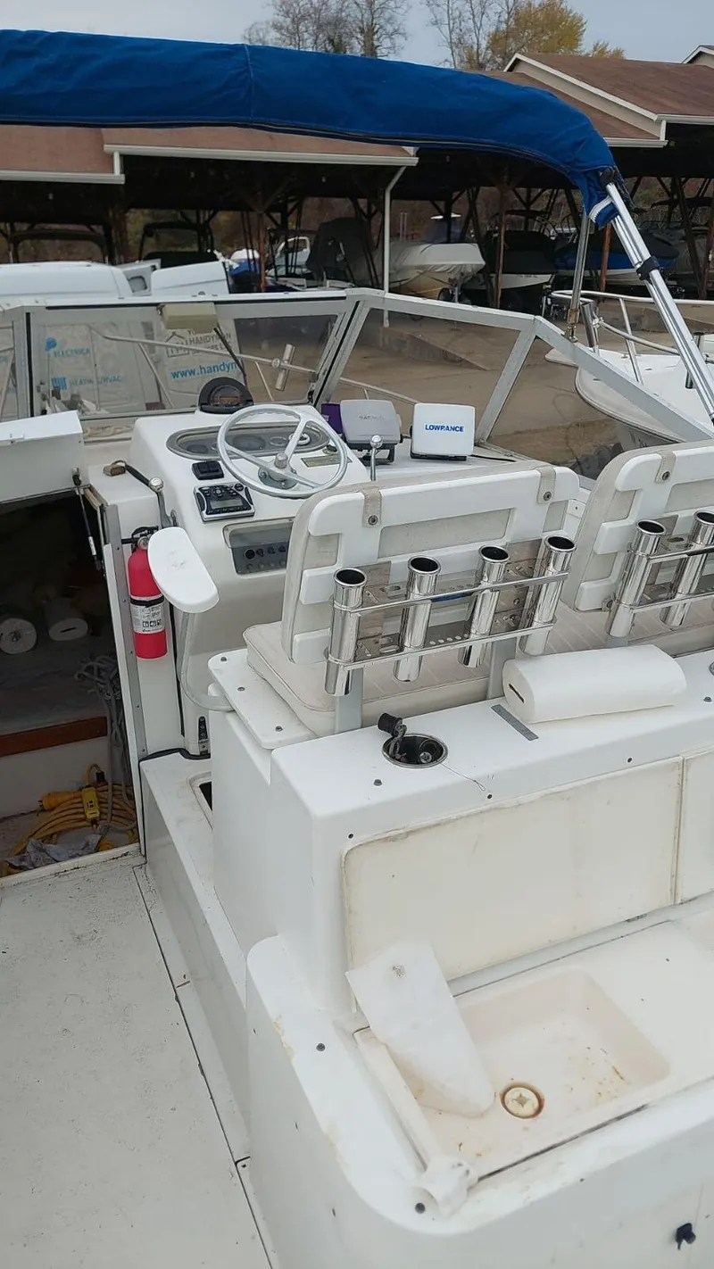 Slide: The Image of Shamrock 220 Predator 1994 - 9