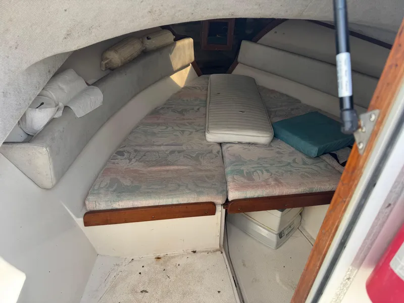 Slide: The Image of Shamrock Predator 1994 - 6