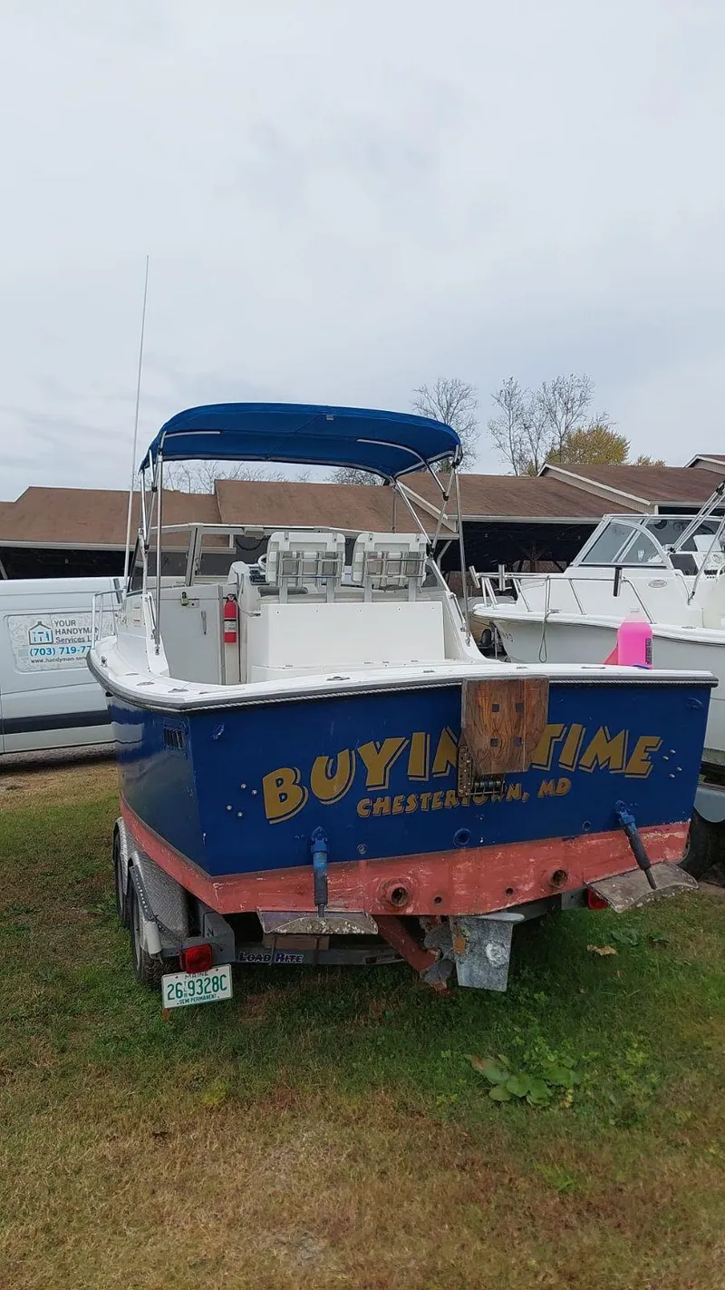 Slide: The Image of Shamrock Predator 1994 - 8