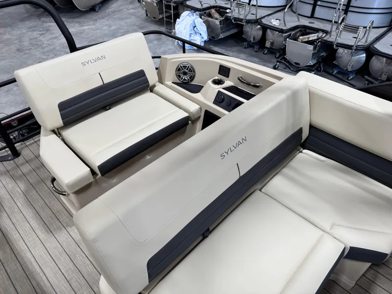 Slide: The Image of Sylvan G5 DLZ DH 2025 - 12