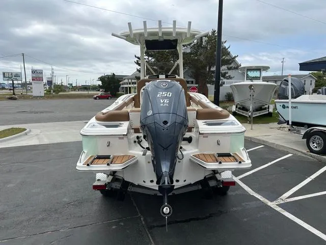 Slide: The Image of Pioneer 222 Islander 2025 - 3