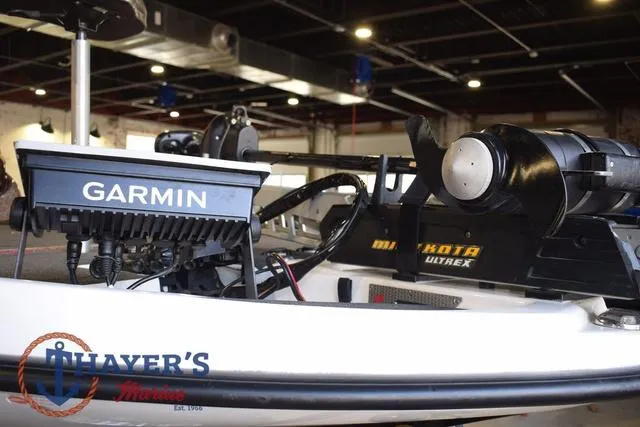 Slide: The Image of Bass Cat Lynx 2018 - 10