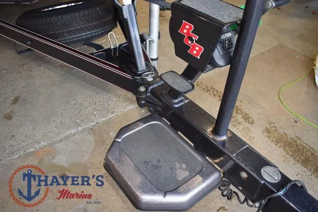 Slide: The Image of Bass Cat Lynx 2018 - 11