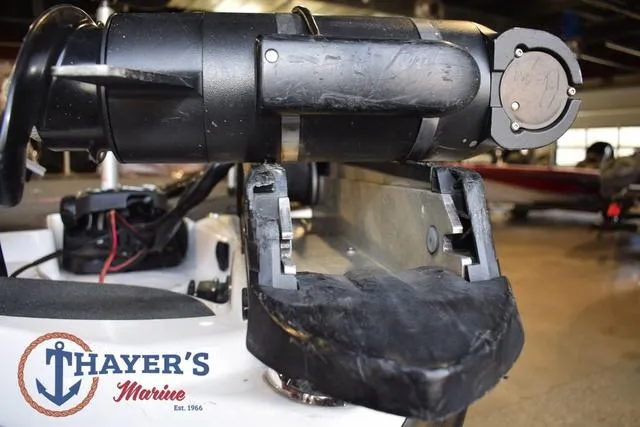 Slide: The Image of Bass Cat Lynx 2018 - 12