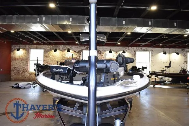 Slide: The Image of Bass Cat Lynx 2018 - 14