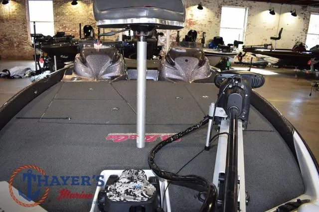 Slide: The Image of Bass Cat Lynx 2018 - 15