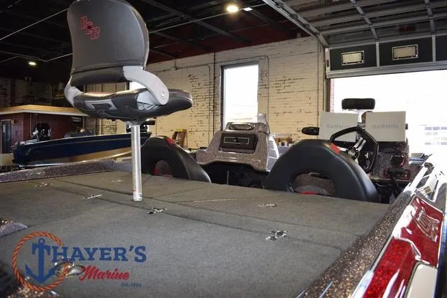 Slide: The Image of Bass Cat Lynx 2018 - 16