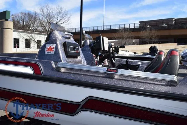 Slide: The Image of Bass Cat Lynx 2018 - 17