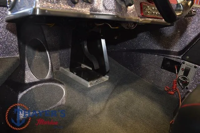 Slide: The Image of Bass Cat Lynx 2018 - 23