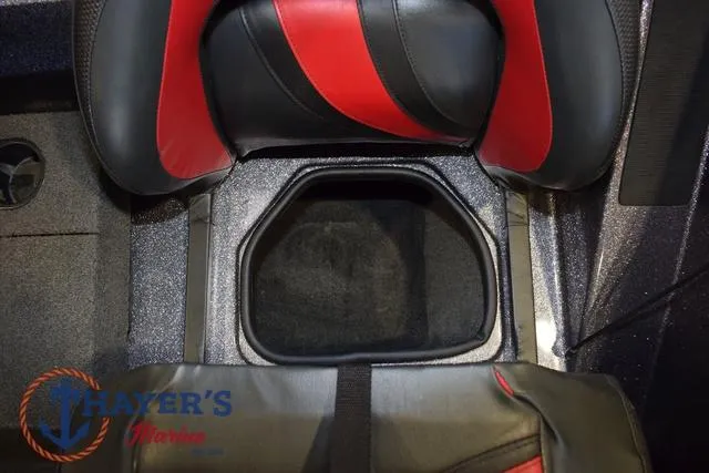 Slide: The Image of Bass Cat Lynx 2018 - 26