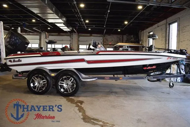 Slide: The Image of Bass Cat Lynx 2018 - 3