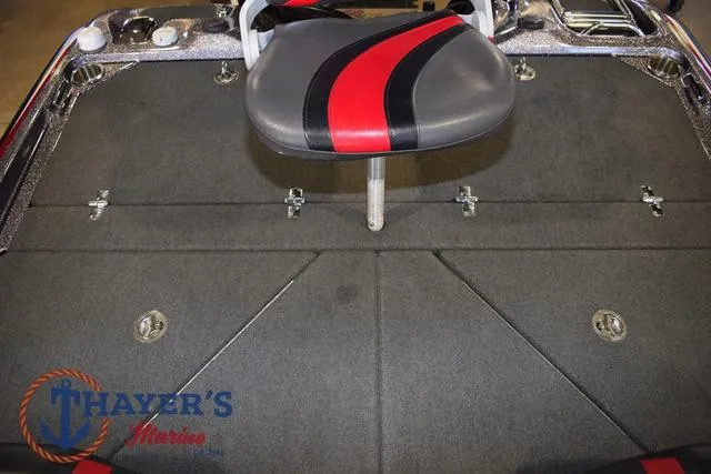 Slide: The Image of Bass Cat Lynx 2018 - 31