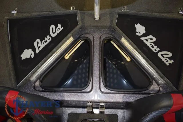 Slide: The Image of Bass Cat Lynx 2018 - 32