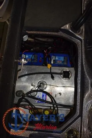 Slide: The Image of Bass Cat Lynx 2018 - 35