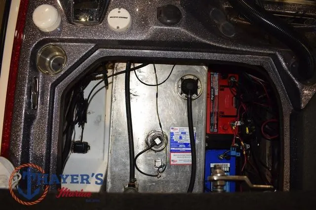 Slide: The Image of Bass Cat Lynx 2018 - 36