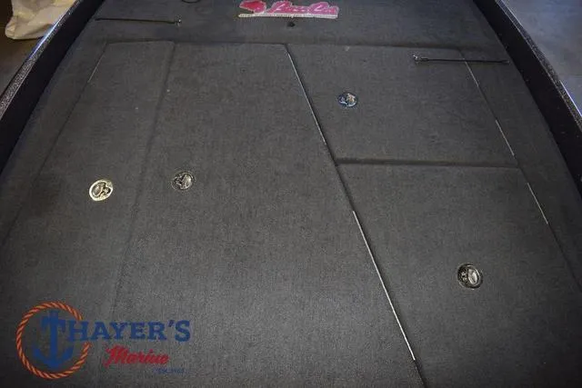 Slide: The Image of Bass Cat Lynx 2018 - 37