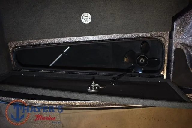 Slide: The Image of Bass Cat Lynx 2018 - 38