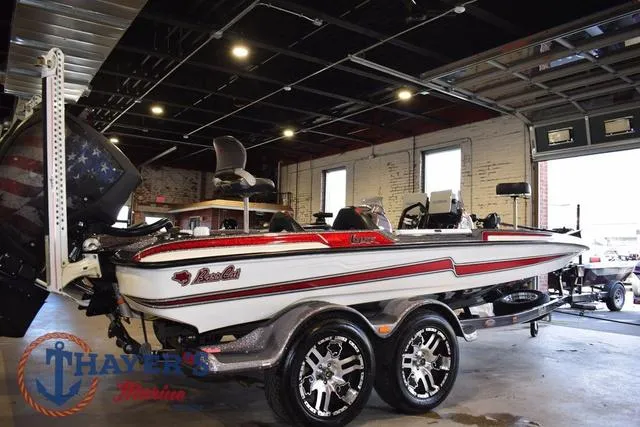 Slide: The Image of Bass Cat Lynx 2018 - 4